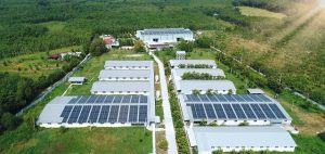 Công ty điện mặt trời Quảng Bình