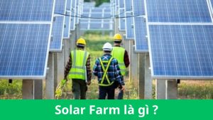 Solar Farm là gì
