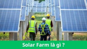 Solar Farm là gì