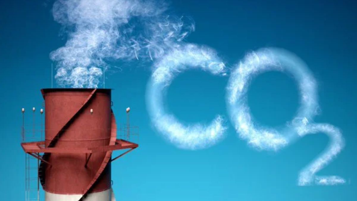 Khí thải carbon là gì