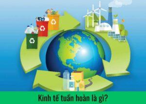 Kinh tế tuần hoàn là gì
