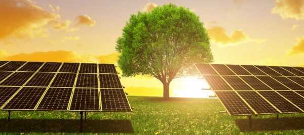 Solar Farm là gì? 
