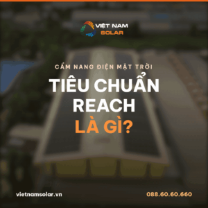 REACH là gì?