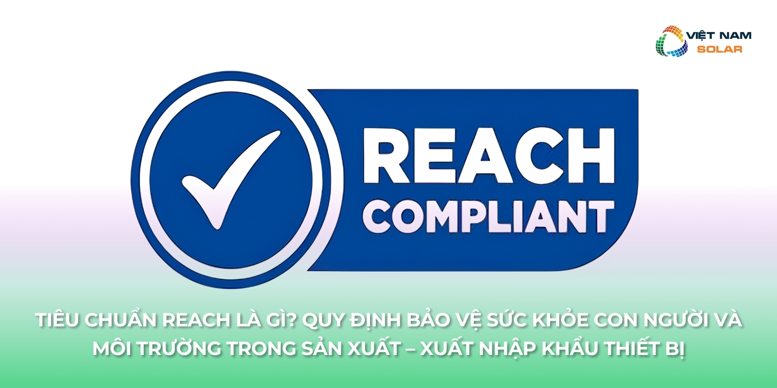 tieu chuan reach