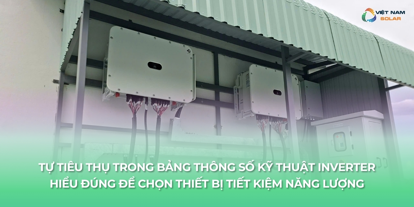 tu tieu thu