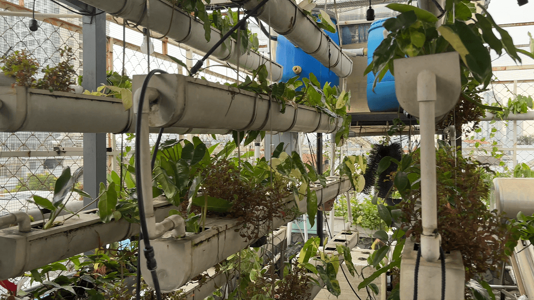 Bảng Giá Lắp Điện Năng Lượng Mặt Trời 8 kWp Có Lưu trữ 10 kWh Tại Quận 8 6 viet nam solar dien mat troi dan dung 1