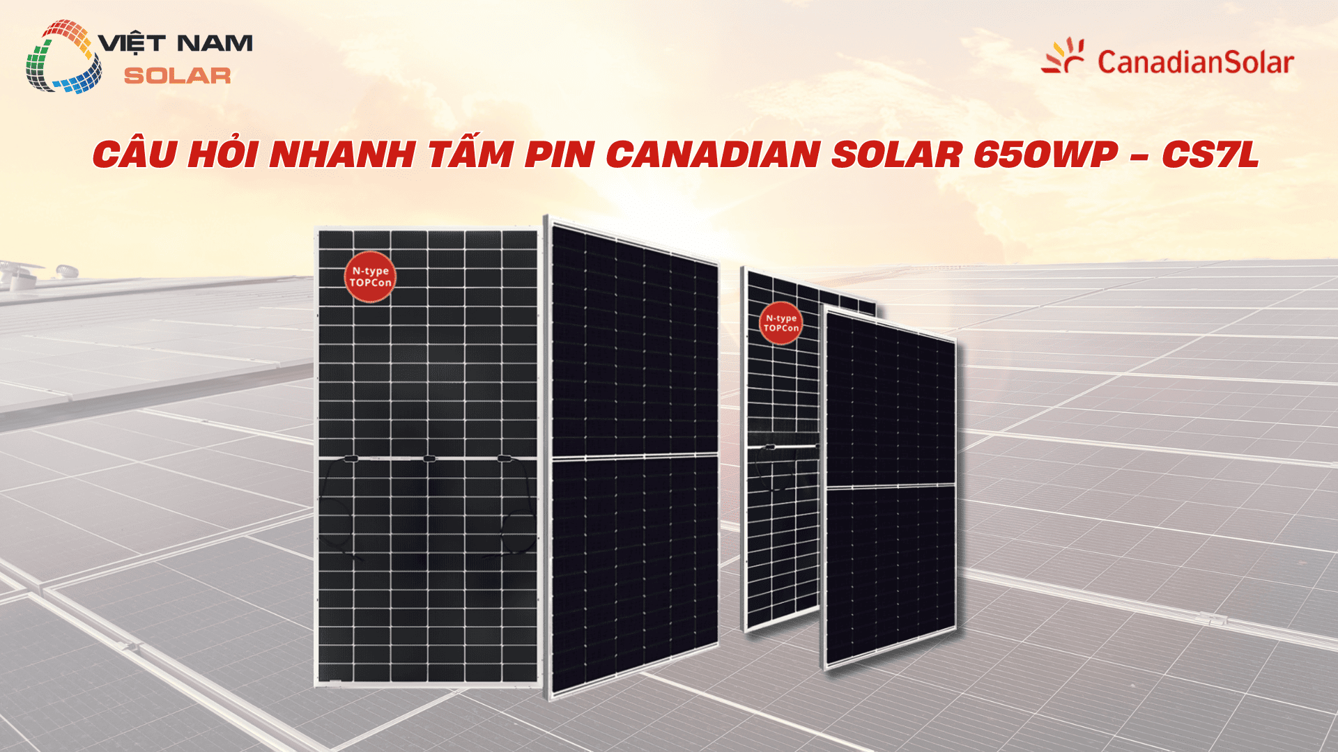 Cau hoi nhanh Tam pin Canadian Solar 650Wp CS7l 1