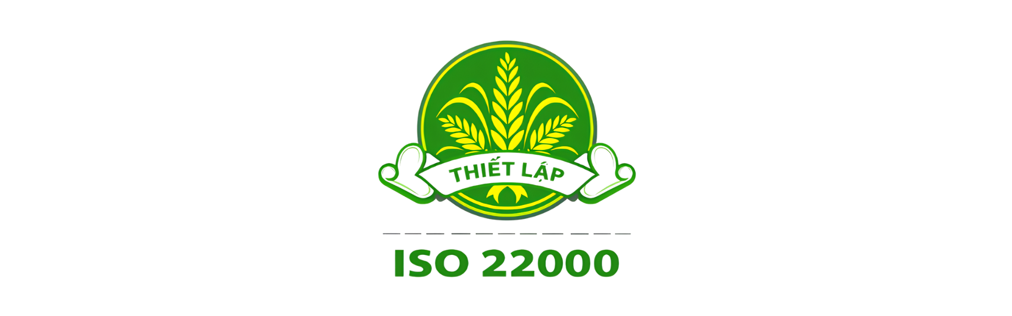 Khách hàng THIET LAP lắp điện mặt trời Việt Nam Solar