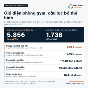 gia dien gym phong tap tong quan sau vat
