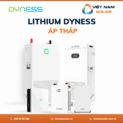 Dyness Áp Thấp