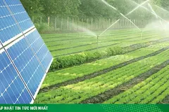 Việt Nam Solar mở ra kỷ nguyên mới với giải pháp điện mặt trời cho nông nghiệp