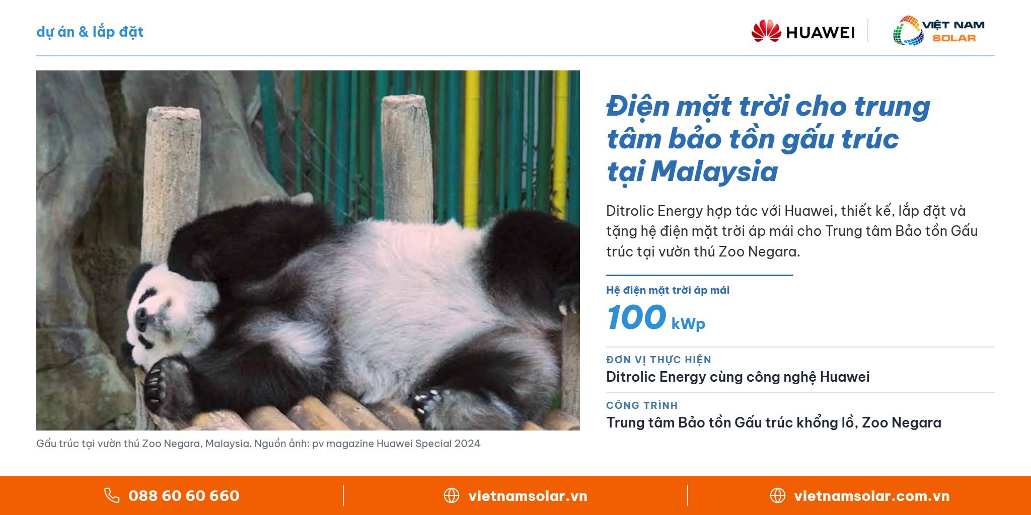Điện mặt trời cho trung tâm bảo tồn gấu trúc tại Malaysia – Huawei FusionSolar, Việt Nam Solar